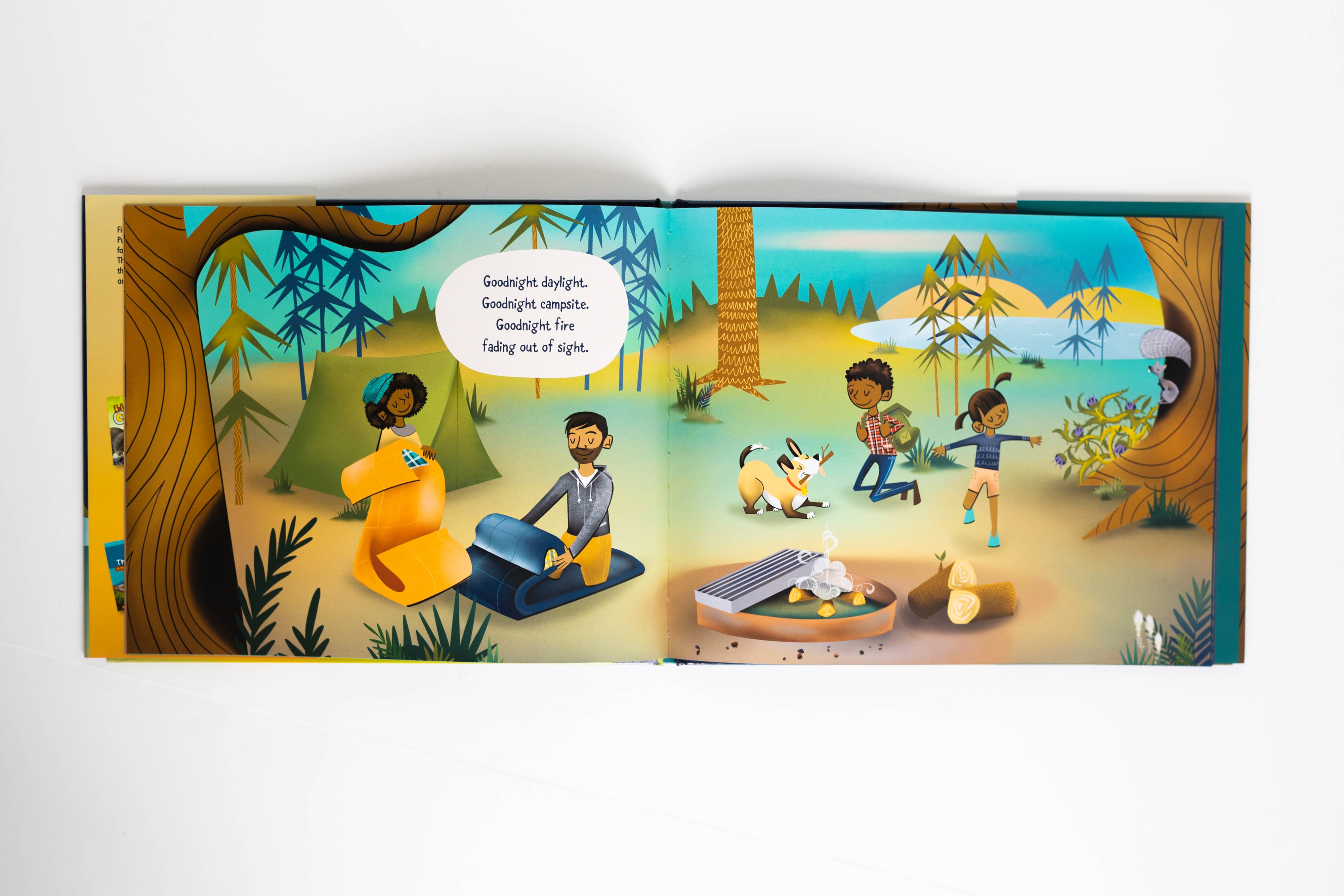 AdventureKEEN - Wholesale Preschool Book (3-5) - Goodnight Great Outdoors2