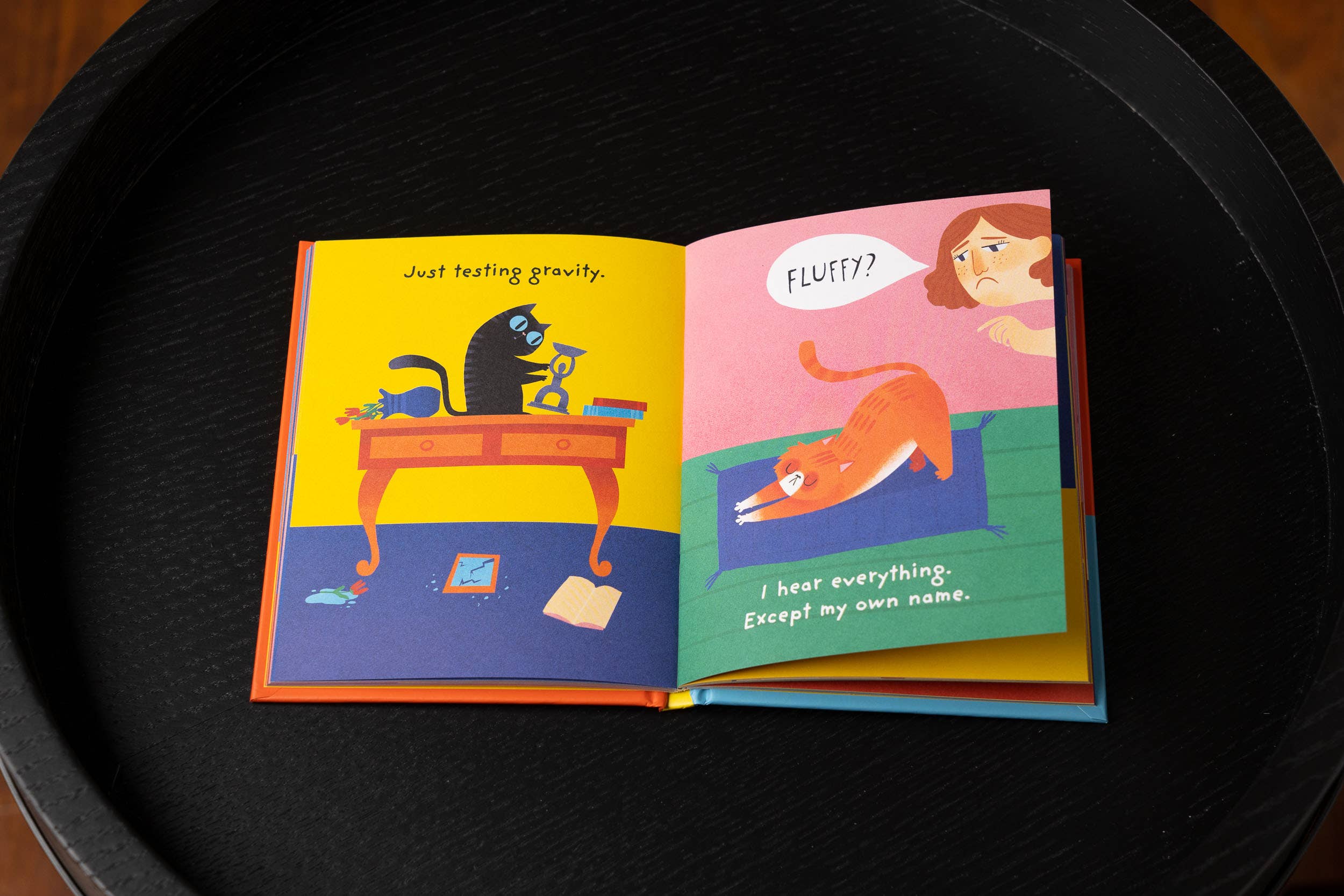 HarperCollins Focus - Wholesale Pets - The Book of Catitudes: Dubious Wit & Wisdom from Cats4