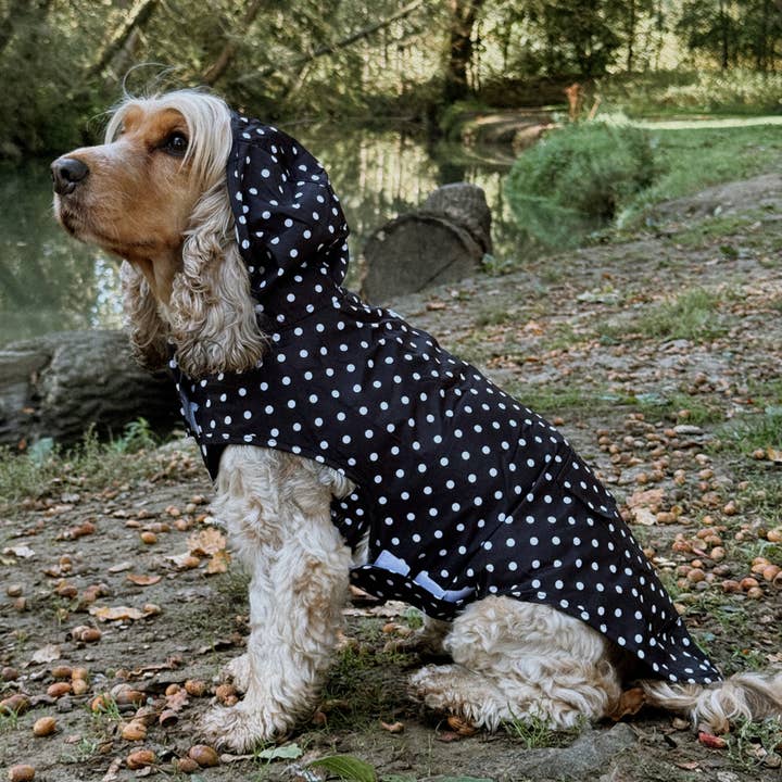 Cocopup London - Wholesale Pet Raincoat - Dog - Dog Raincoat - Black Polka Dot5