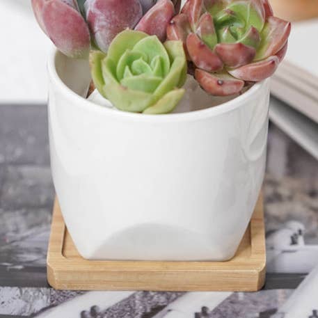 White Cup with Saucer for wholesale by Springer Décor