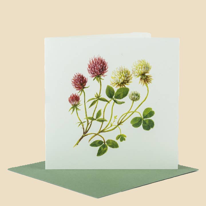 Sophia Davenport - Wholesale Everyday Greeting Card - Wildflower Greeting Cards and Notelets4