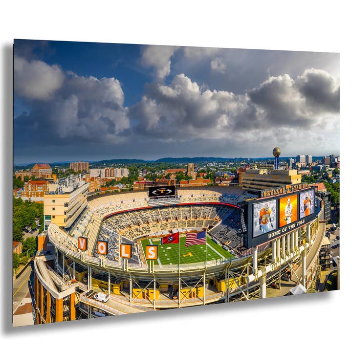 Art du Neyland Stadium | Couleurs vives | Fierté des Vols pour la vente par Clifton Haley Photography