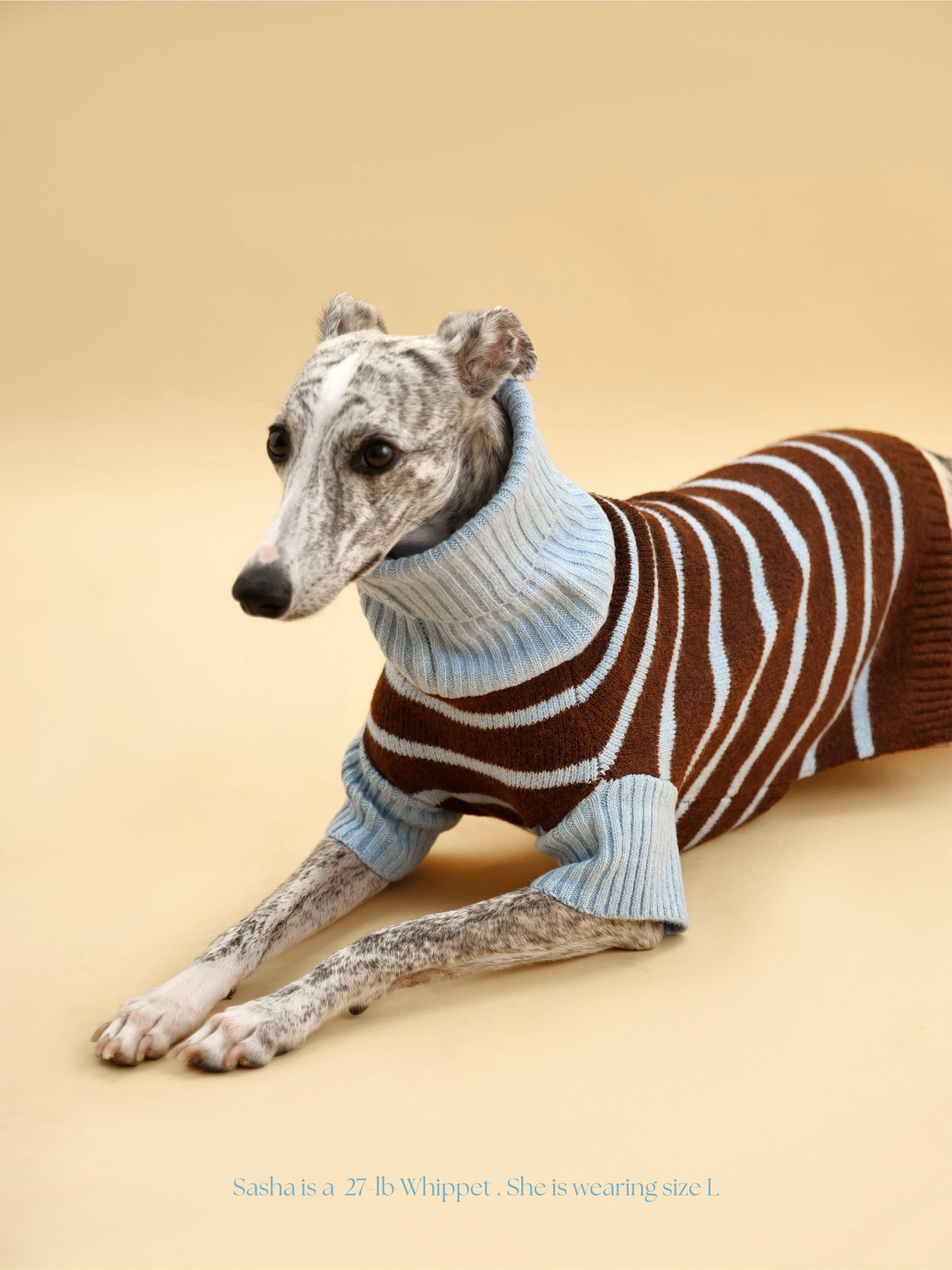BarkBarkBaby - Wholesale Pet Sweater - Dog - Bluebell Stripes Sweater6