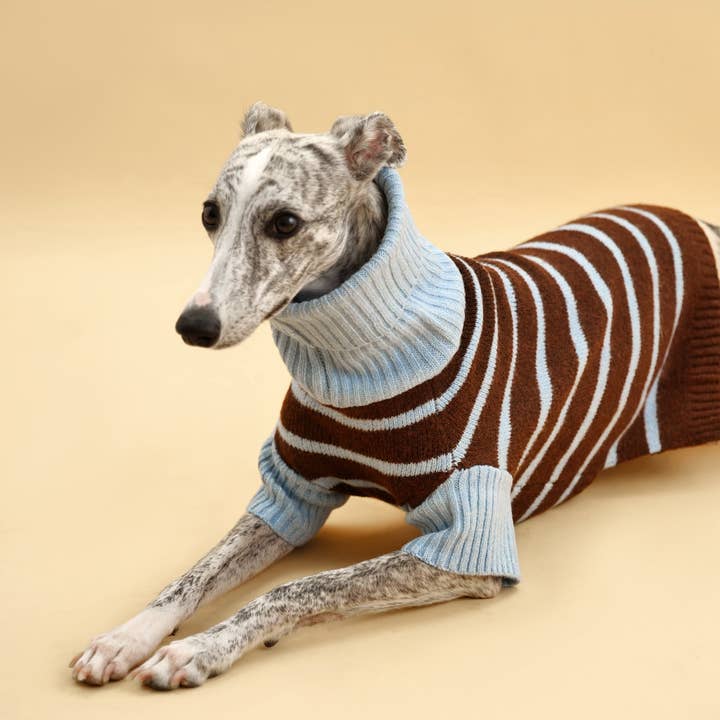 BarkBarkBaby - Wholesale Pet Sweater - Dog - Bluebell Stripes Sweater6