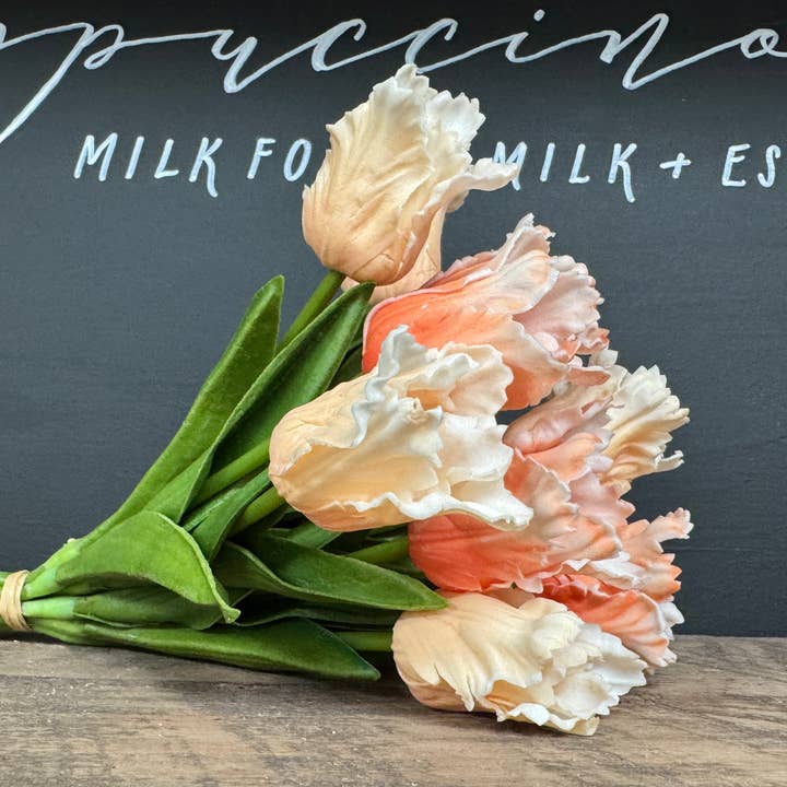Angel Isabella – Engroshandel Kunstige blomster – 14"-1 Dusin-Elegant Farverig Real Touch Papegøje Mini Tulipan