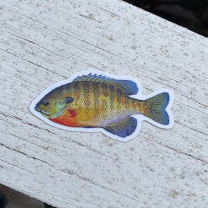 Sunfish Lure Stickers