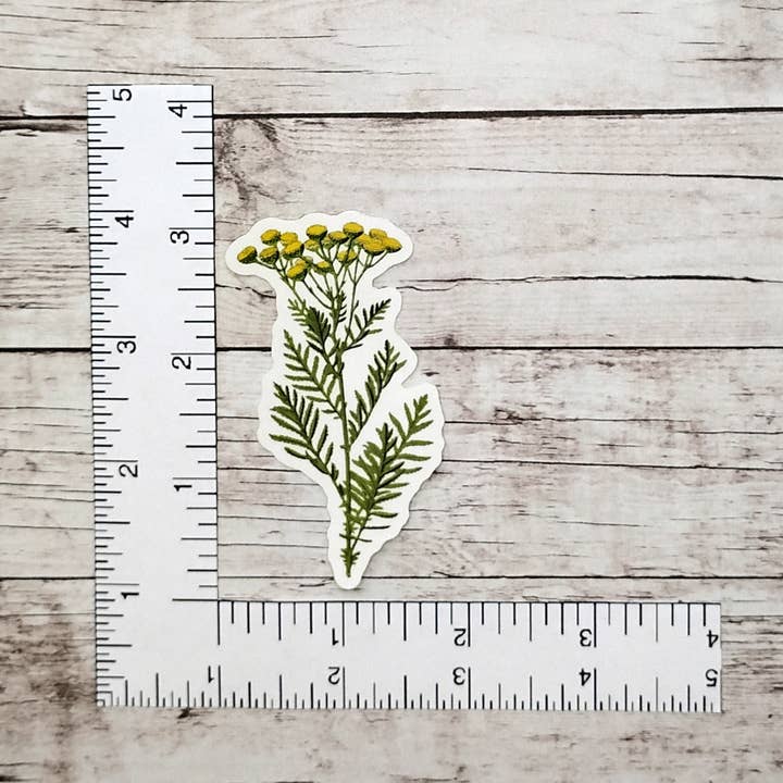 Fable & Fen, LLC - Wholesale Sticker - Tansy Sticker2