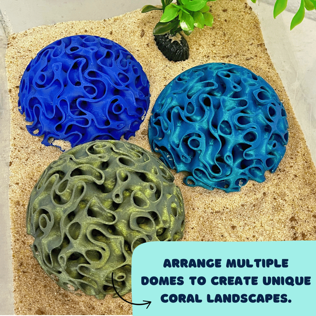 Chatelet – Großhandel Haustierspielzeug – nicht für Katzen/Hunde – Aquarium Coral Reef Dome — Nachbildung eines Aquarienriffs zum Schutz von Fischen und Garnelen sowie zur Eiablage0