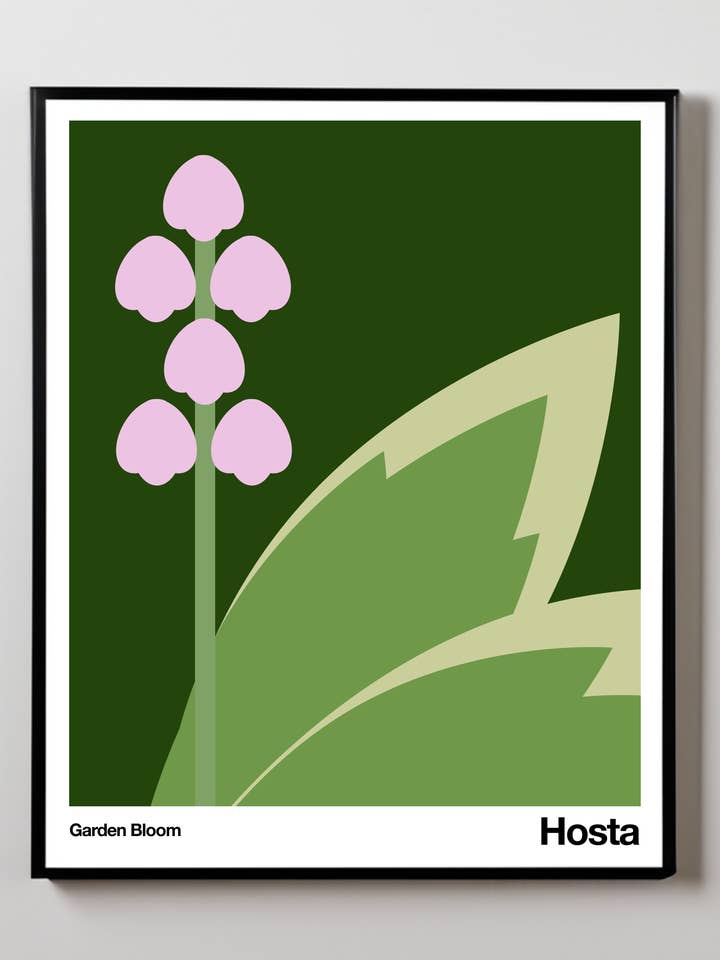 Hosta | Stampa d'arte | Fioritura del giardino per la vendita all'ingrosso da parte di Little Dipper Art