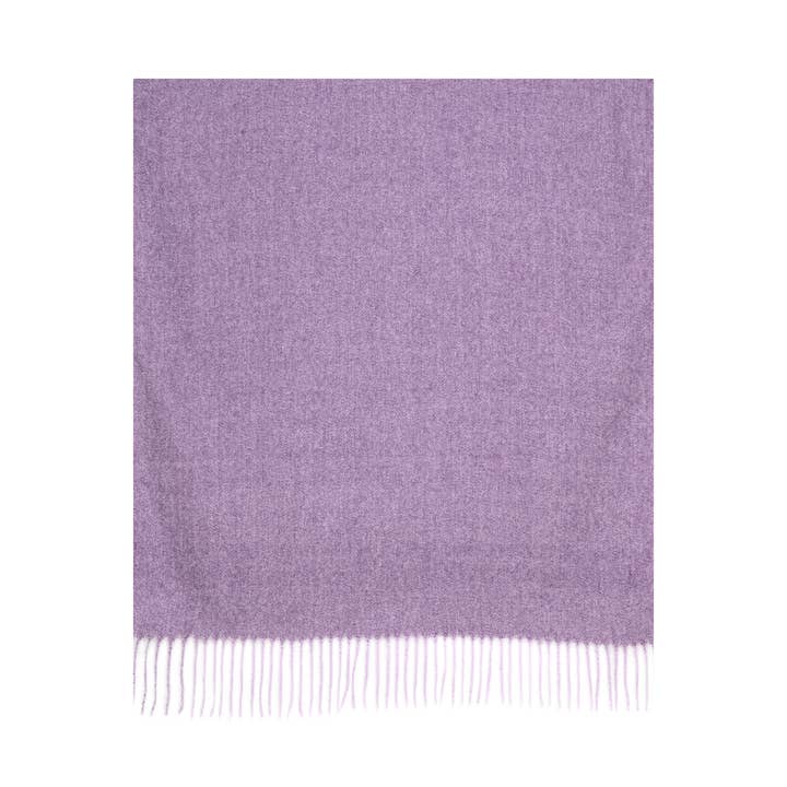 Taylor Hill Scarves & Co – Großhandel Schal – Unisex – THSS2783: Lavendel: Luxuriöser Einfarbiger Schal2