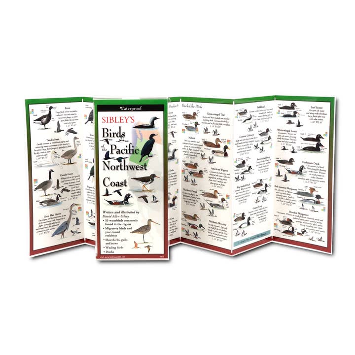 Earth Sky + Water - Wholesale Nature & Outdoors Book - Sibley's Birds of the Pacific Northwest Coast1