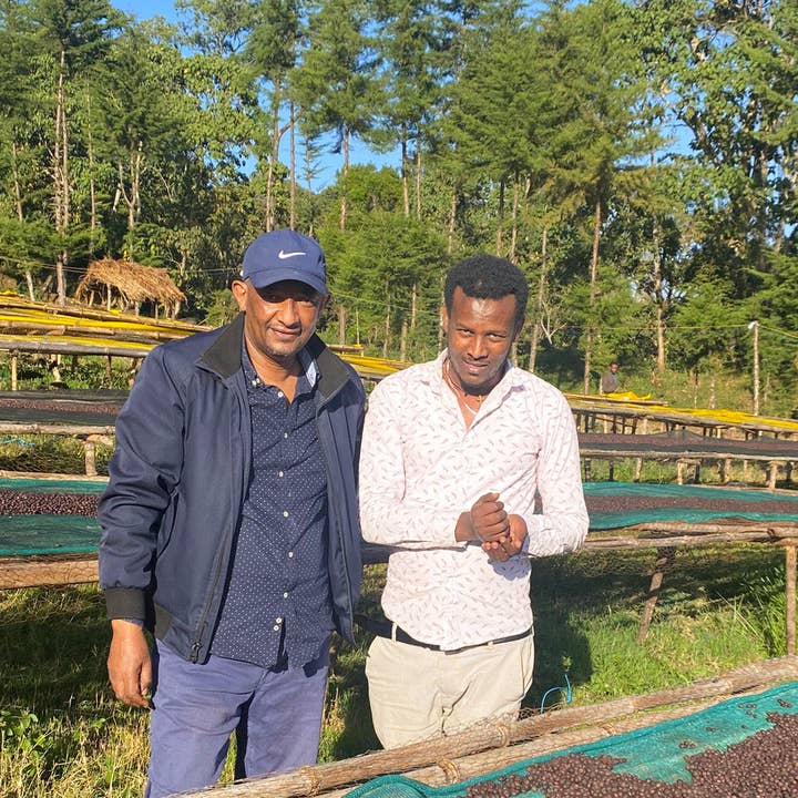 Oak and Bond Coffee Co. - Wholesale Coffee Beans - Ethiopia Gera Estate Gr.1 Anaerobic