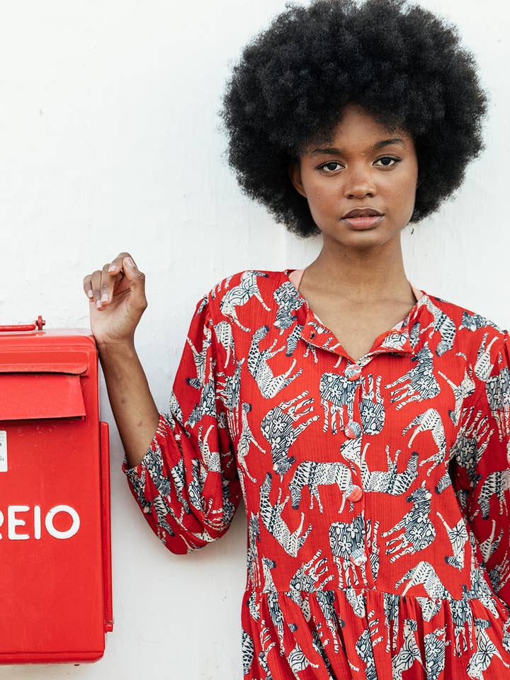 Zebras Dress for wholesale by BOW Swimwear