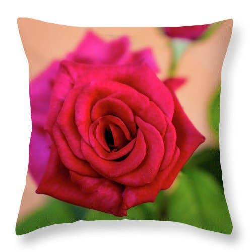 KUSSEN „THE RED ROSE” voor wholesale door sorayadapuzzostore
