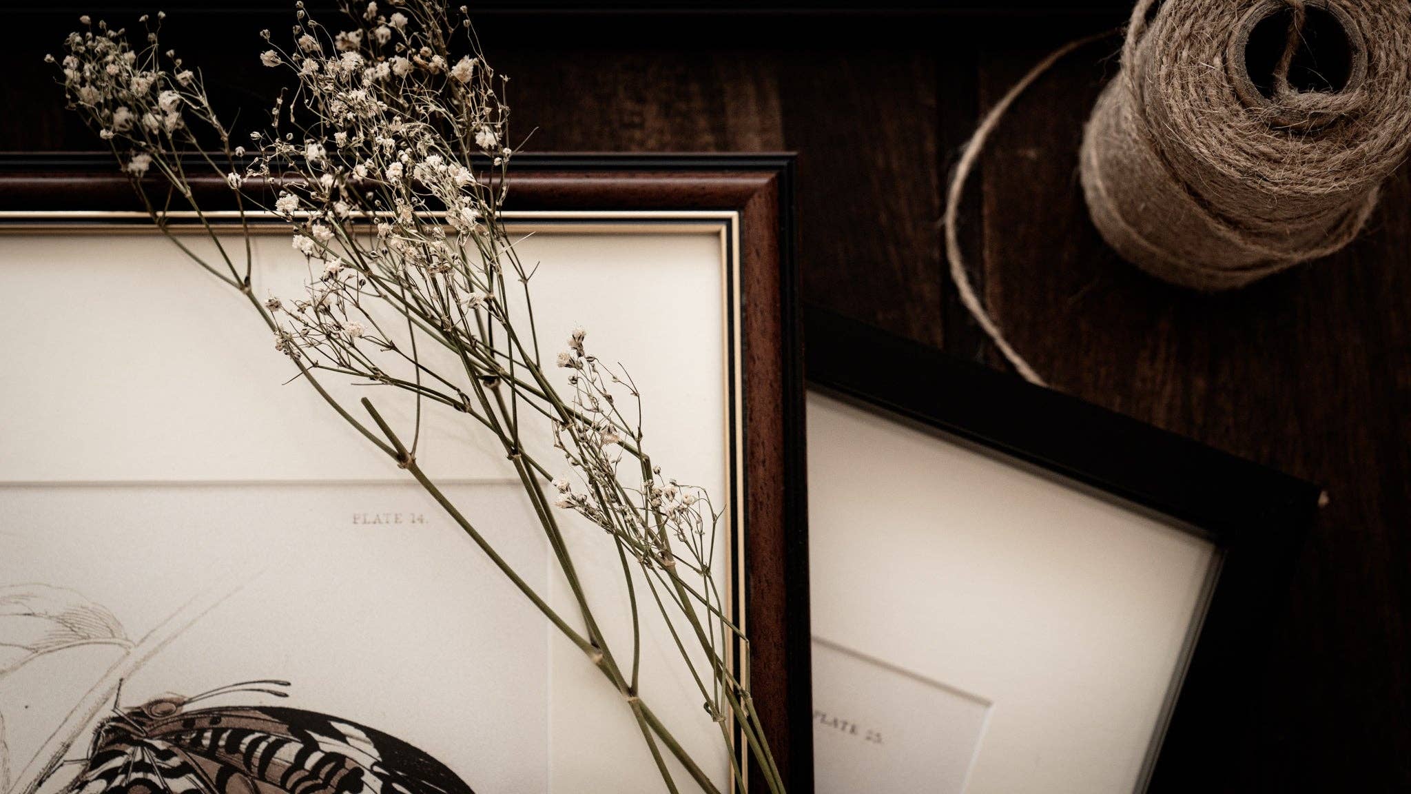 Coultura - Wholesale Gallery Wall Set - Framed Set of Two Vintage Butterfly Art Prints 02 (Classic Teak Frame Collection)5