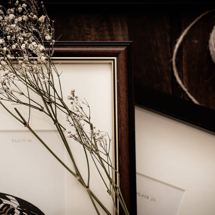 Coultura - Wholesale Gallery Wall Set - Framed Set of Two Vintage Butterfly Art Prints 02 (Classic Teak Frame Collection)5