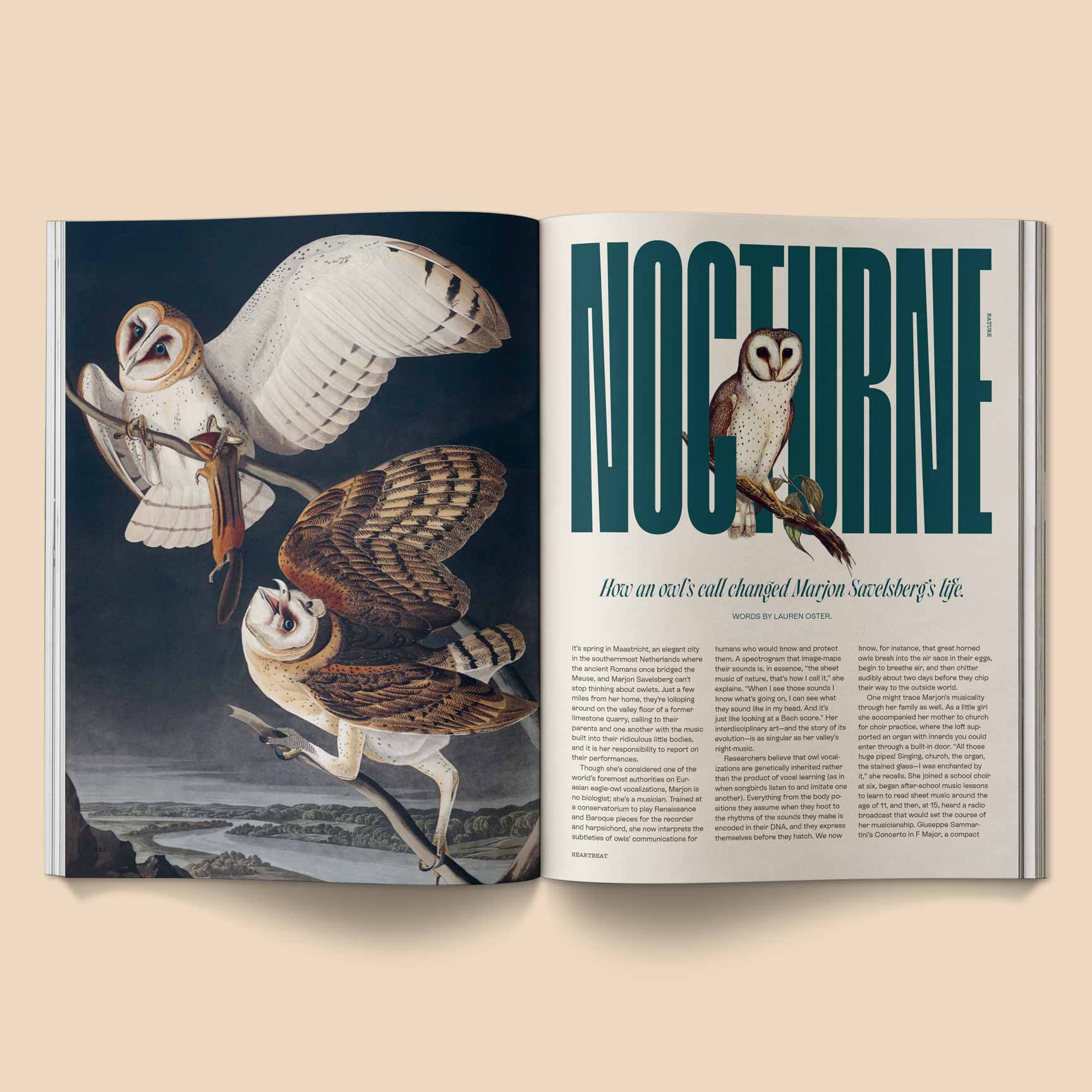 Broccoli - Wholesale Magazine - Heartbeat Magazine: Music, Sound, Emotion8