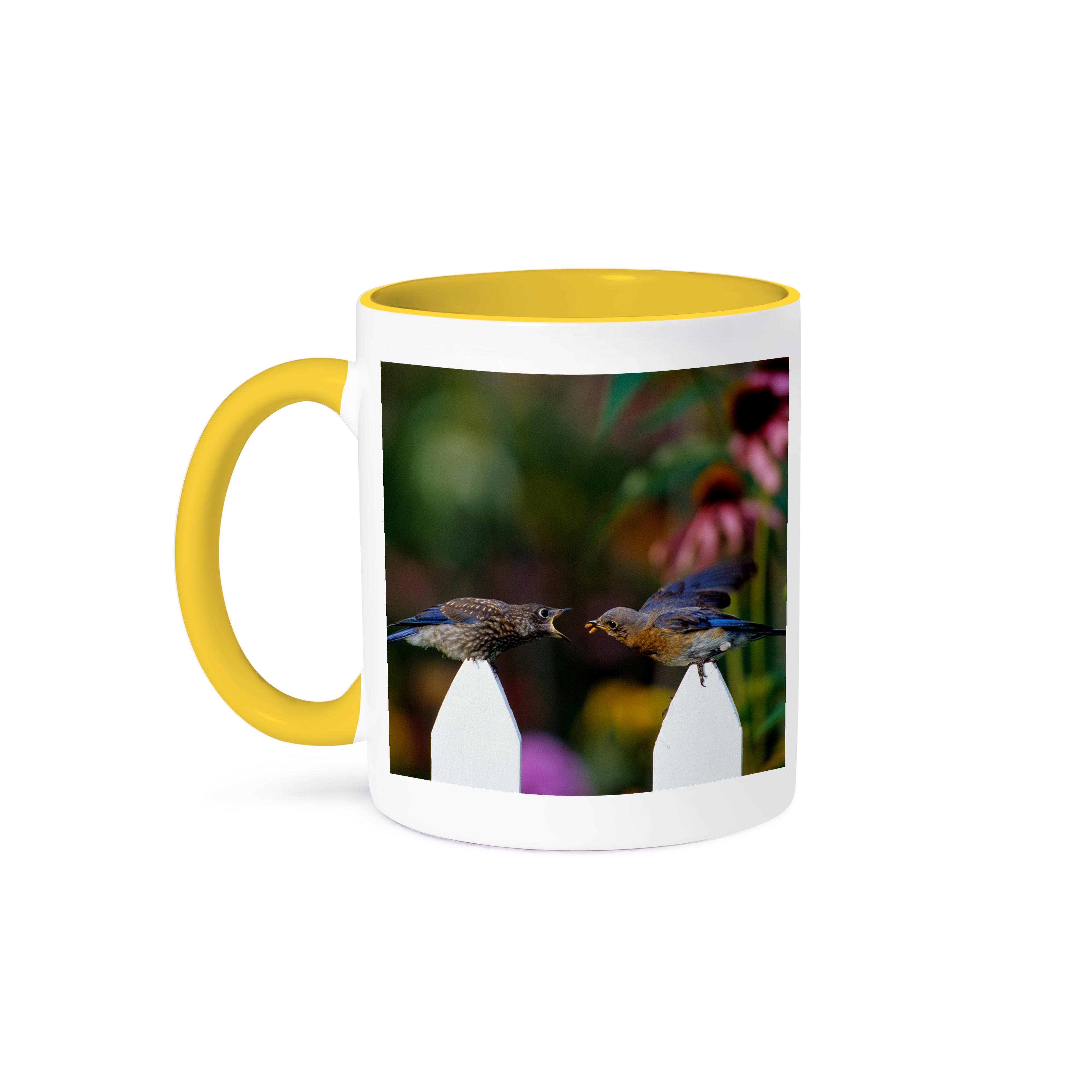 3dRose – wholesale Coffee mug – 3dRose, Eastern Bluebird female feeding fledgling on picket fence near flowers, Mug0
