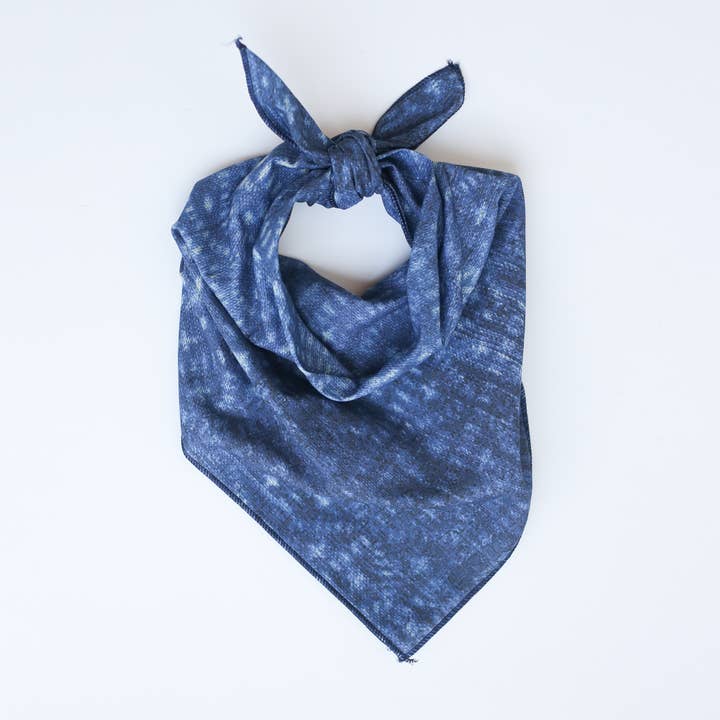 Lyon Bandana for wholesale by Room 422