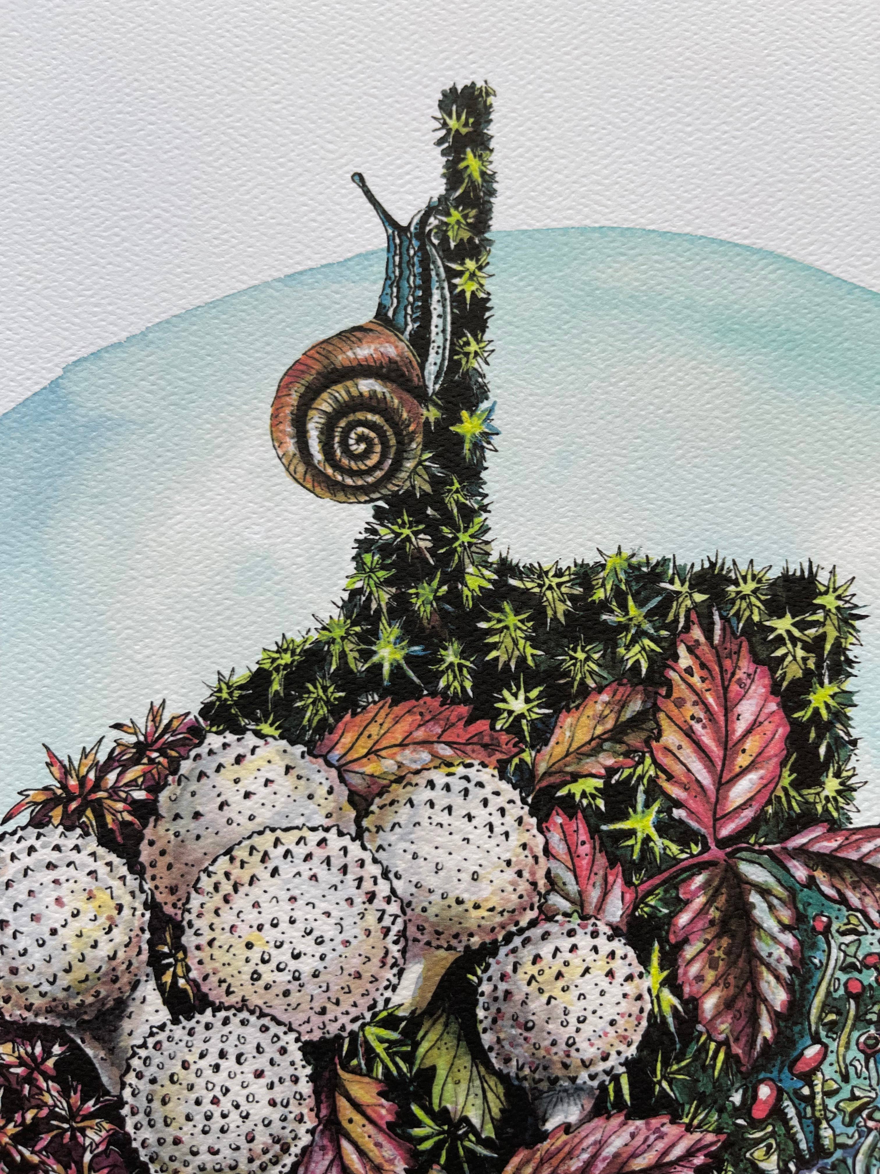 Rosalie Haizlett Illustration – Engroshandel Kunsttryk – West Virginia Skovbunden - Akvarel Kunsttryk6