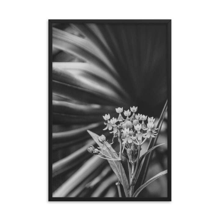 Zwart-wit ingelijste muurkunstdruk met bloedbloemen en palm voor wholesale door Pipa Wall Art & Home Decor