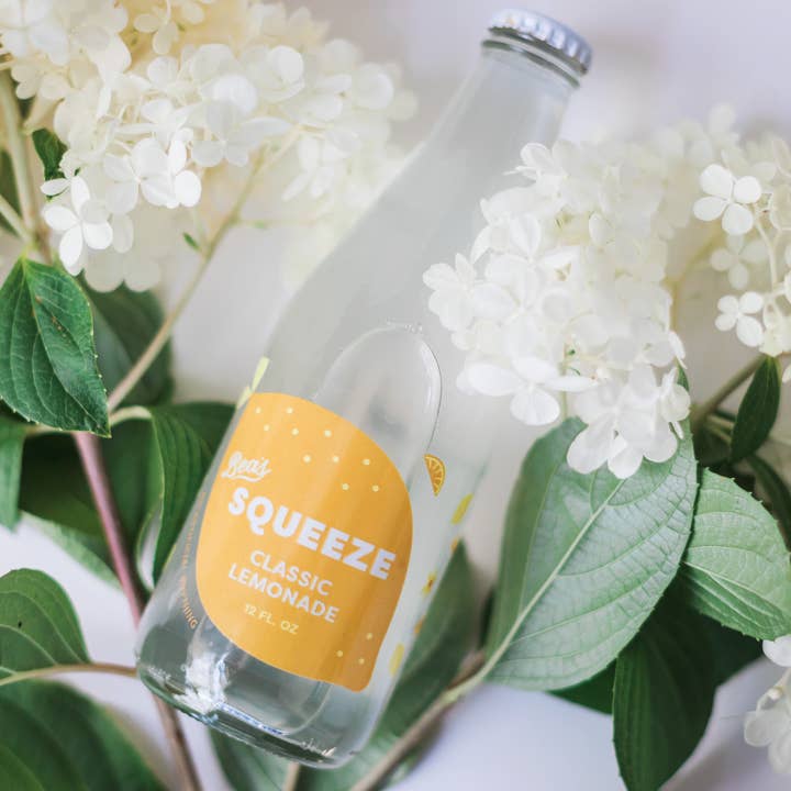 Bea's Squeeze - Wholesale Fruit Juice - Classic Lemonade 9 Pack Bottles