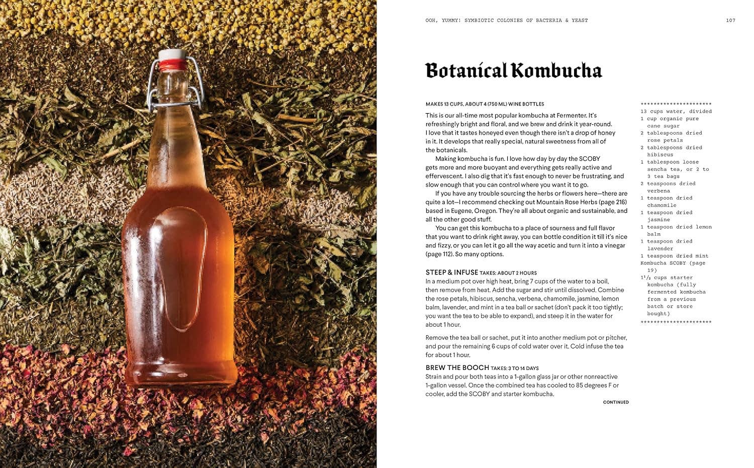 Blue Star Press - Wholesale Cookbooks & Food - Fermenter: A Guide to DIY Fermentation (Unique Gifts)7