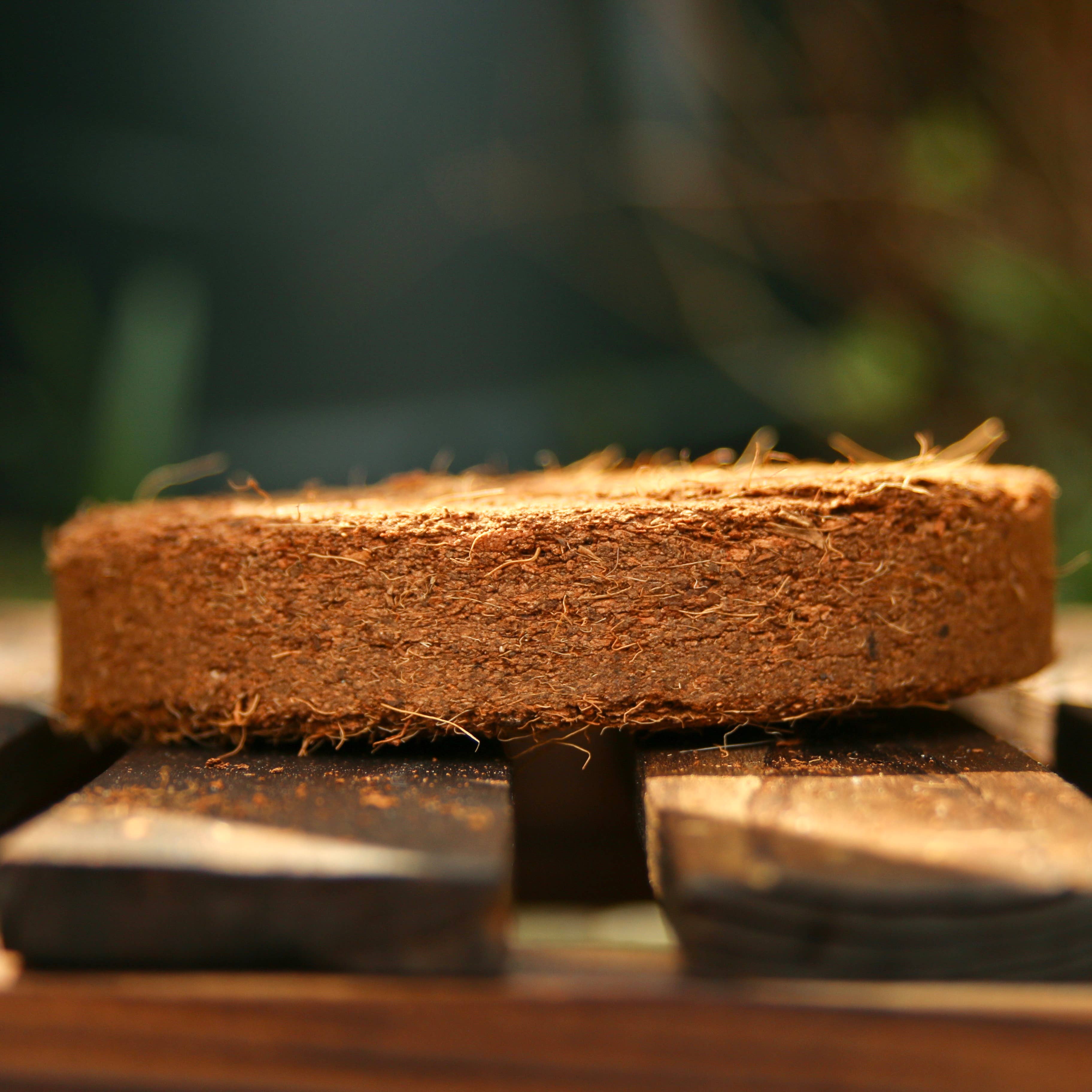 CoirProducts.co.uk of Salike Limited – wholesale Planting/potting soil – Coir discs 75-80mm CoirProducts CPUK1