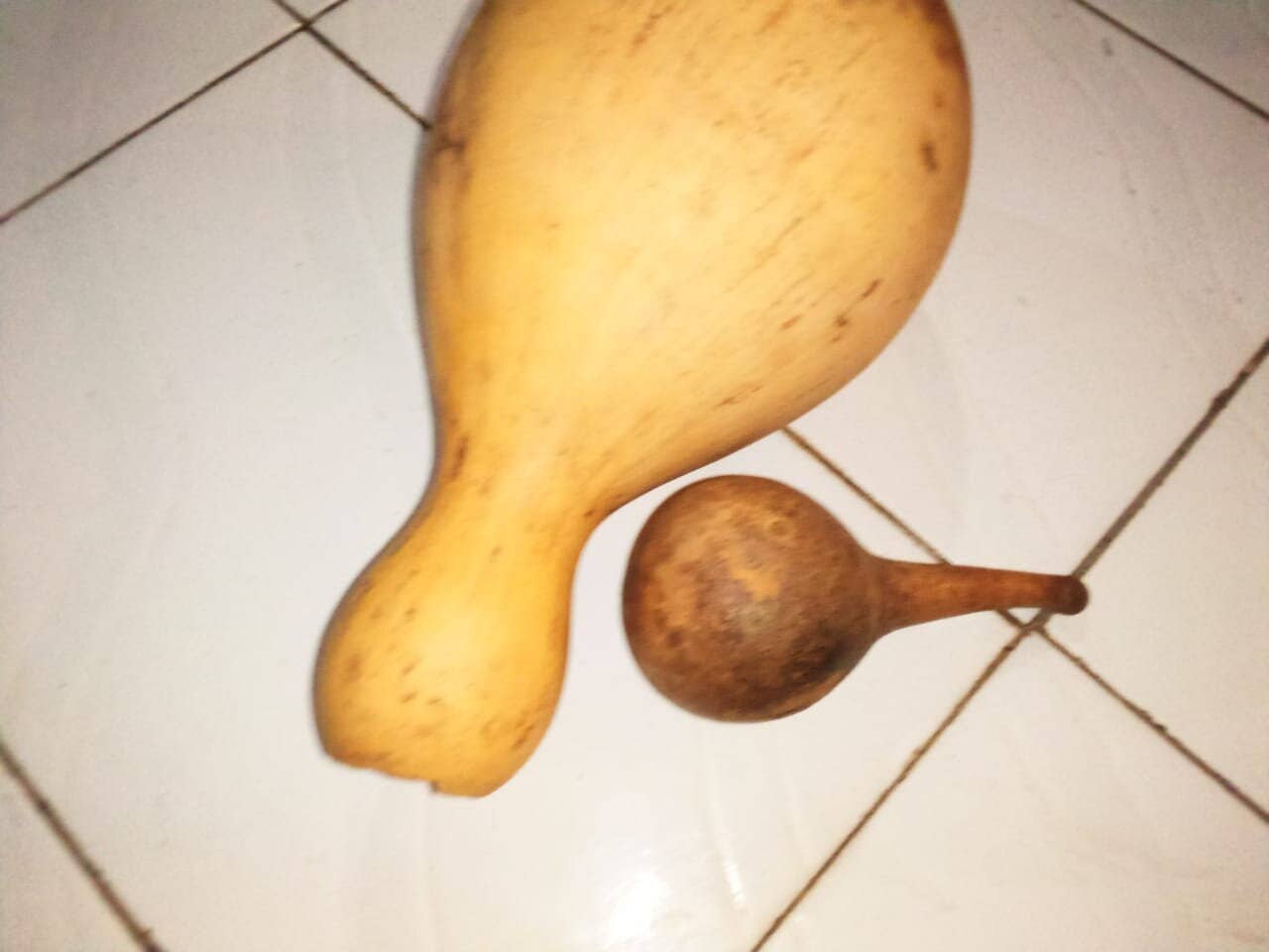 Delight merchants - Wholesale Decorative Tabletop Object - African calabash with its baby1