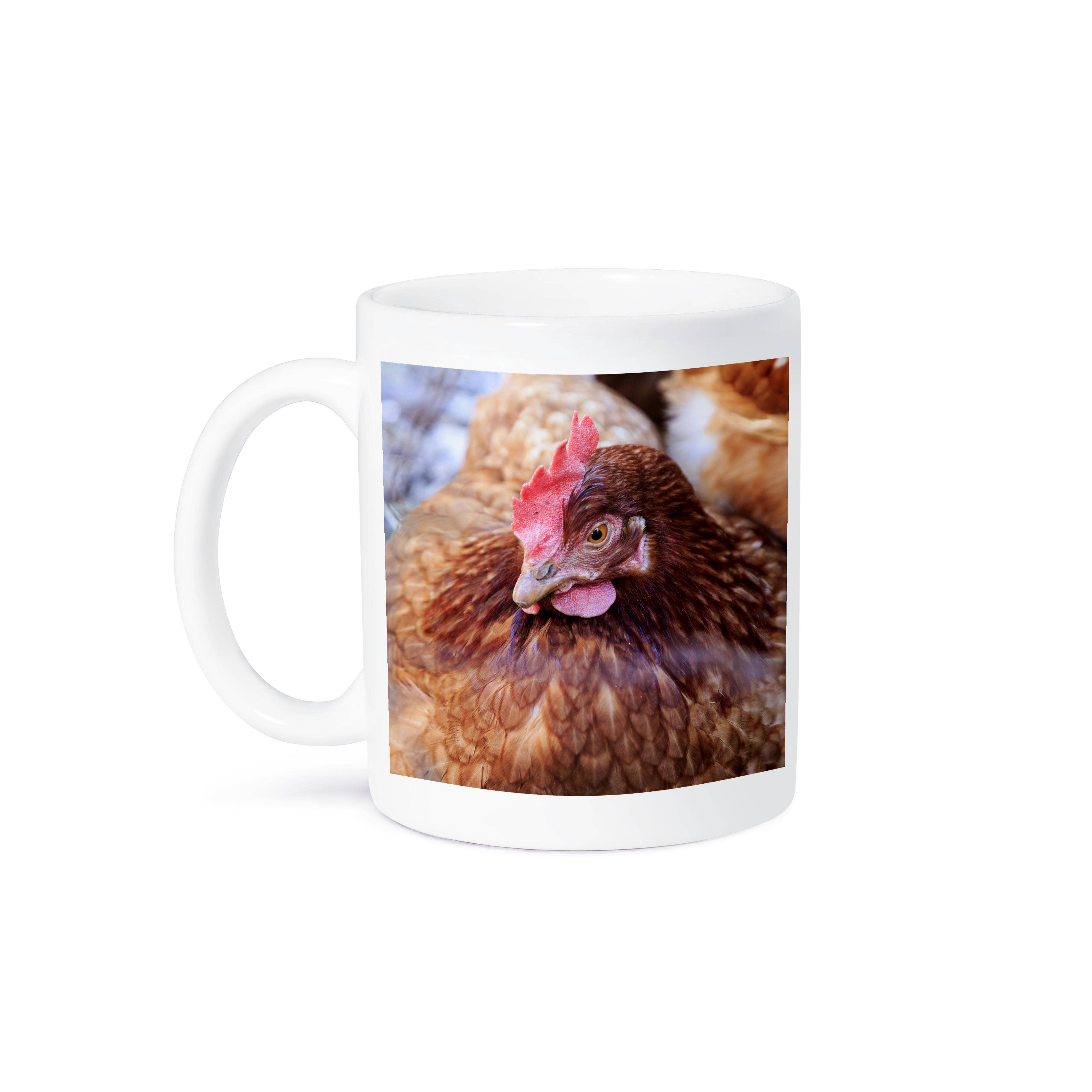3dRose - Wholesale Coffee Mug - 3dRose, Spain, Balearic Islands, Mallorca. Chicken., Mug8