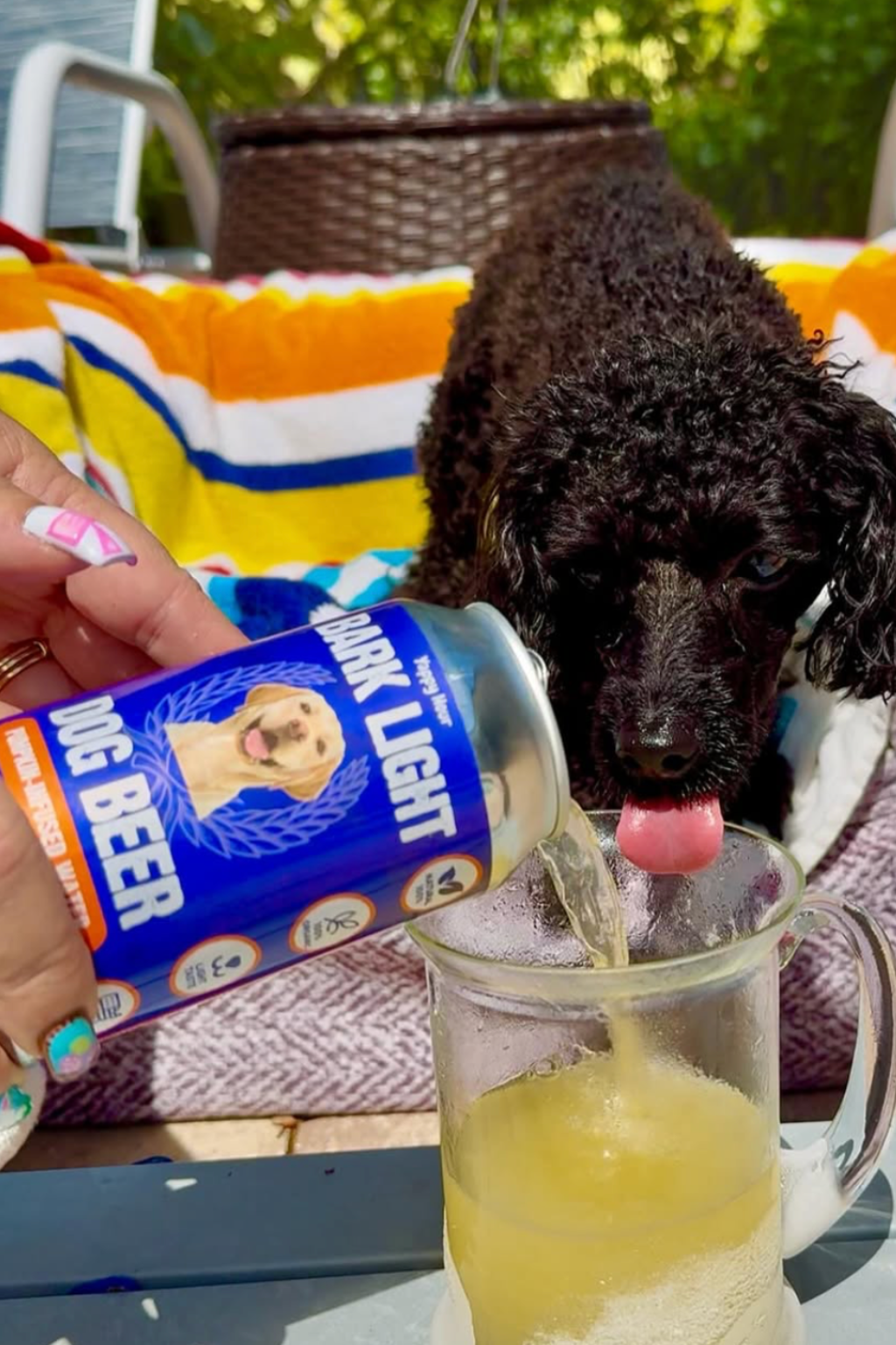 Yappy Hour - Wholesale Pet Treats - Dog - Bark Light Dog Beer 12oz | 18ct | Pumpkin1