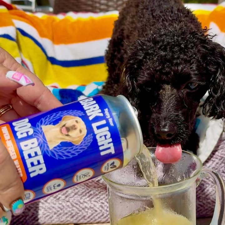 Yappy Hour - Wholesale Pet Treats - Dog - Bark Light Dog Beer 12oz | 18ct | Pumpkin1