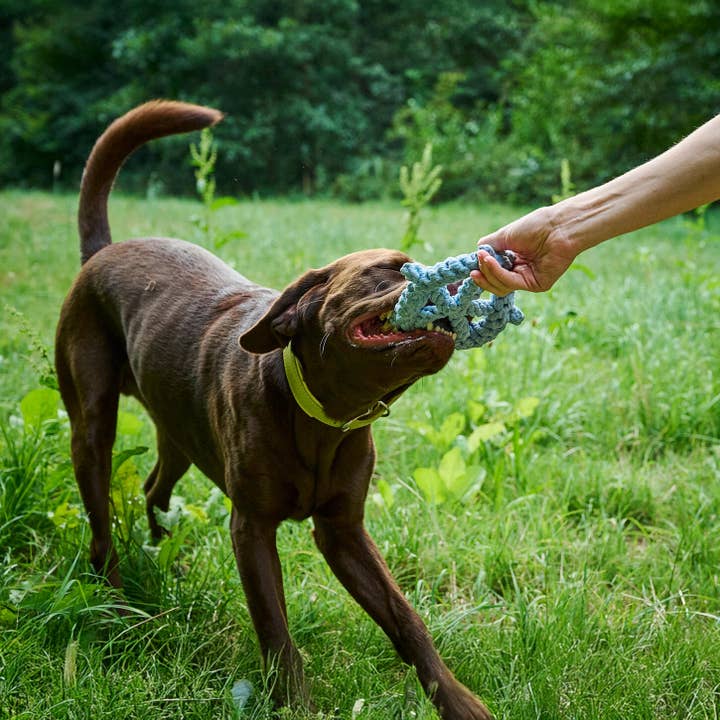LABONI - Volentis GmbH - Wholesale Pet Rope Toy - Dog - SKIPPER – A Fresh Breeze of Fun2