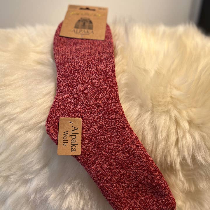 Alpaka Wollsocken und andere Ergebnisse für merino unterwäsche im Großhandel. Kostenlose Rücksendungen und 60-Tage-Zahlungsziel auf Faire im Trend auf Faire.