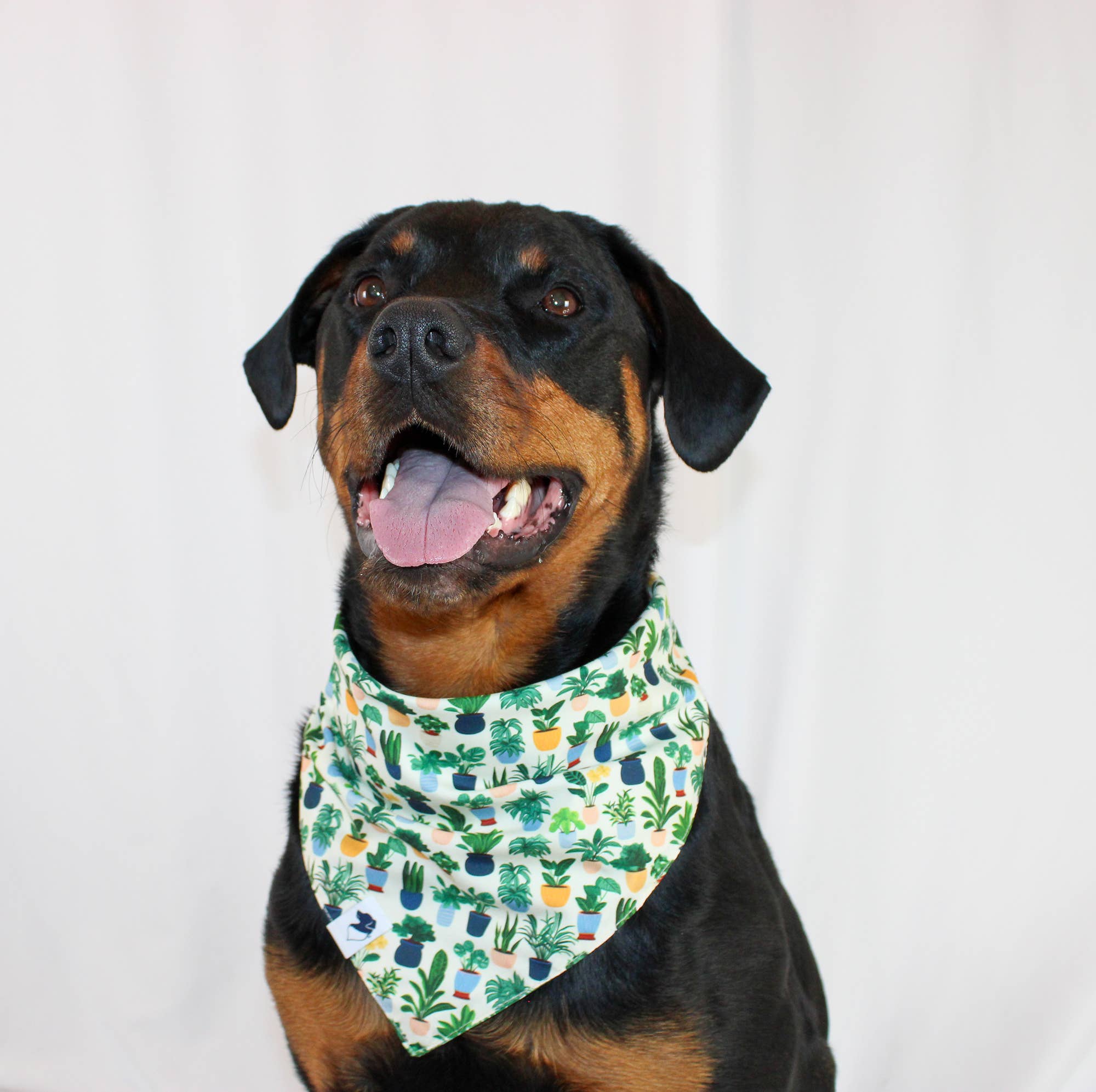 Dog Bandana Co. - Vendita all'ingrosso Bandana - Cani - Bandana per cani con piante da appartamento1