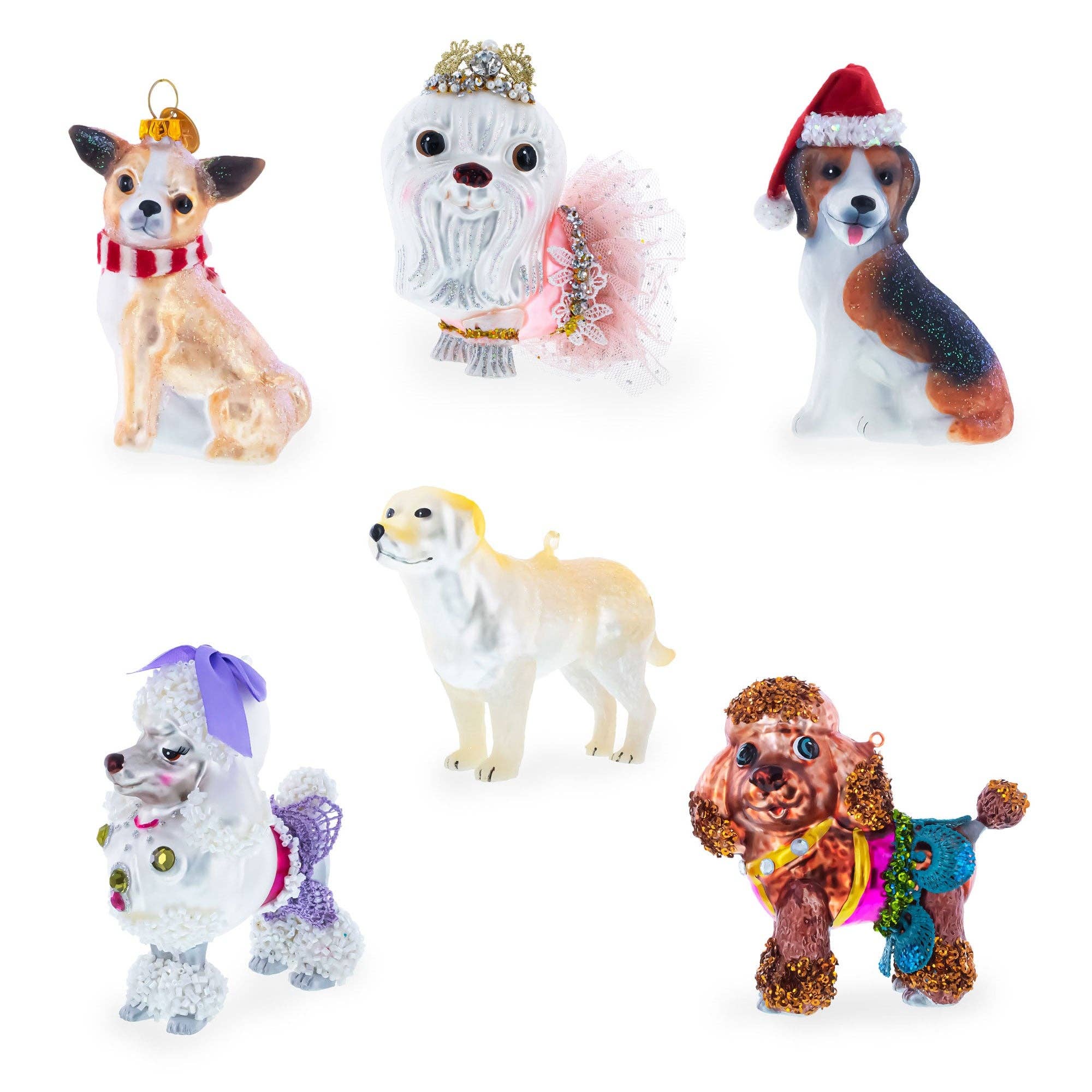 BestPysanky - Vendita all'ingrosso Decorazione - Ornamento in vetro a forma di cane Chihuahua Taco4