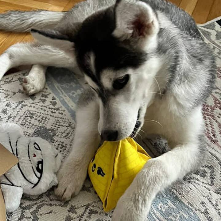 WufWuf - Wholesale Speeltje - Hond - WufWuf 2-in-1 Pyramid Interactive Treat Dispensing Hondenspeelgoed6