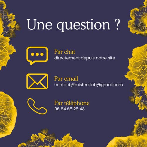 MISTER BLOB - Wholesale DIY Craft Kit - Kids - Blob breeding kit5