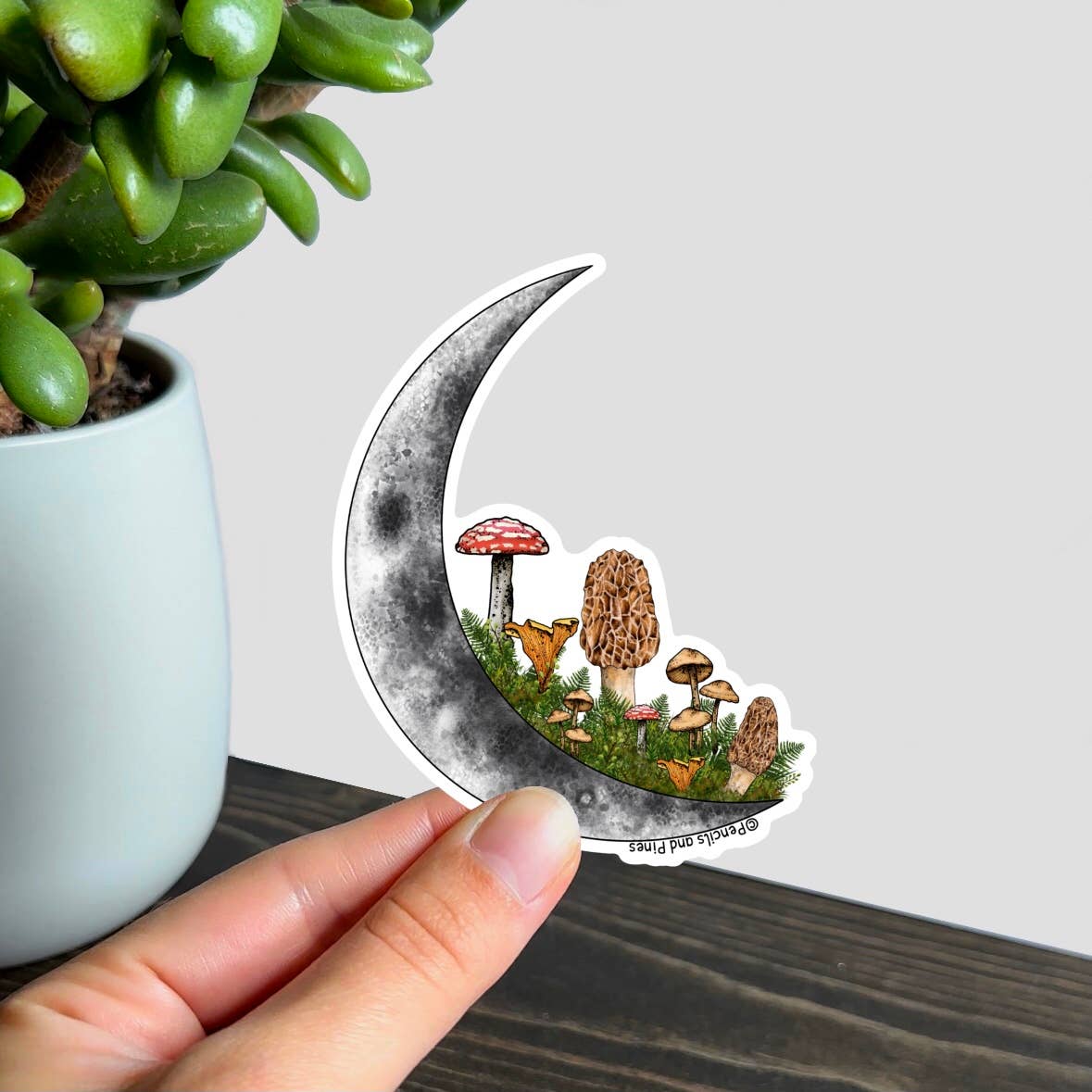 Pencils and Pines - Wholesale Sticker - Mushroom Moon Sticker2