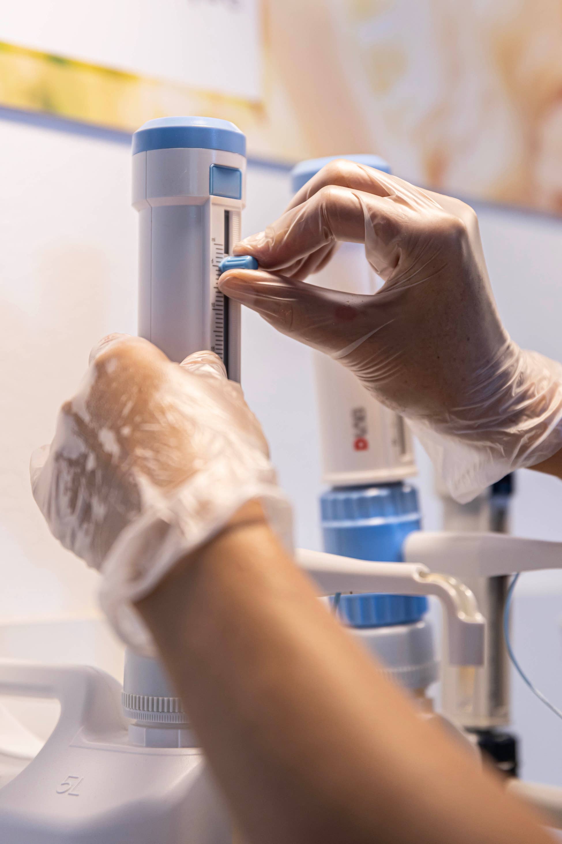 Di Nina – Engroshandel Læbepomade – Lipstick 5 g, håndstøbt i Korsika uden essenser og syntetiske stoffer3