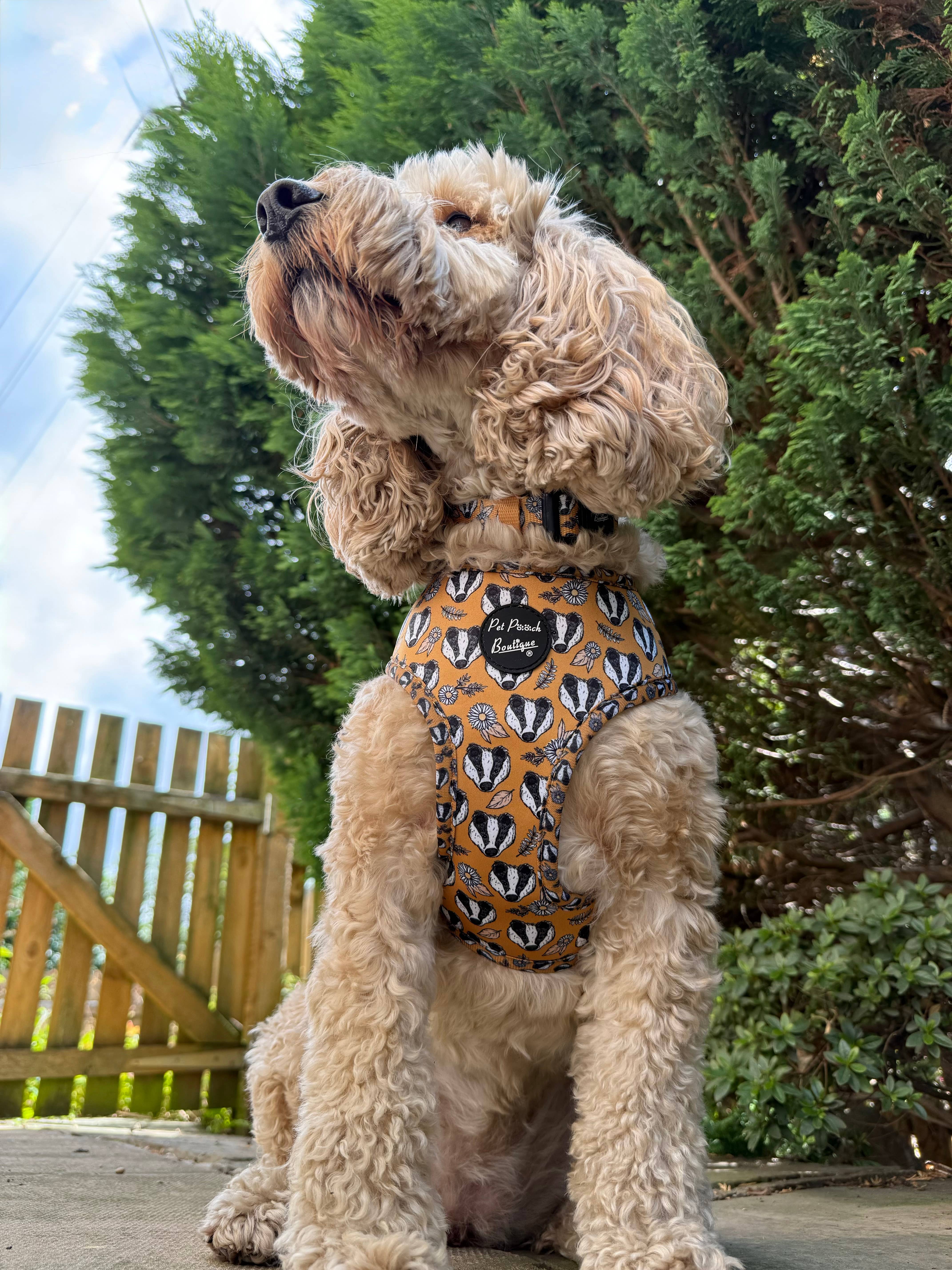 Pet Pooch Boutique – wholesale Pet harness – Dog – Woodland Badger Puppy Dog Harness (Autumn/mustard yellow)2
