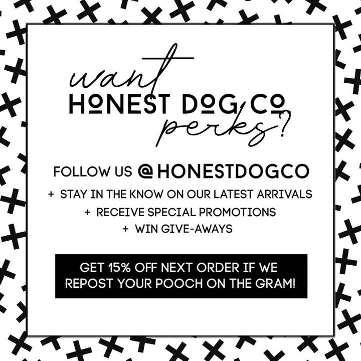 The Honest Dog Company – wholesale Klänning - Hund – 2Pac röd Bandana hund klänning