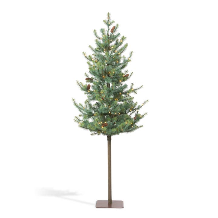 Sapin bleu alpin, 213 cm pour la vente par Park Hill Collection