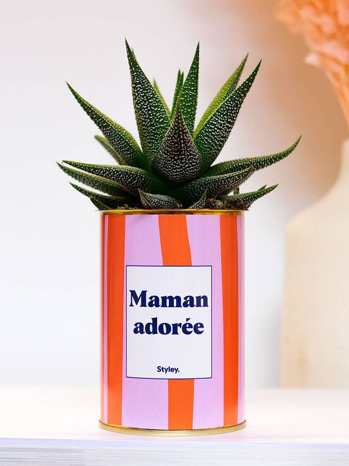 Maman Adorée - Cactus for wholesale by Styley