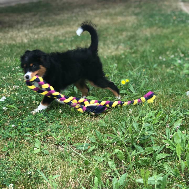 TUGS DE WOUFS EN FOLIE - Wholesale Pet Rope Toy - Dog - Fleece long braid tug for dog3