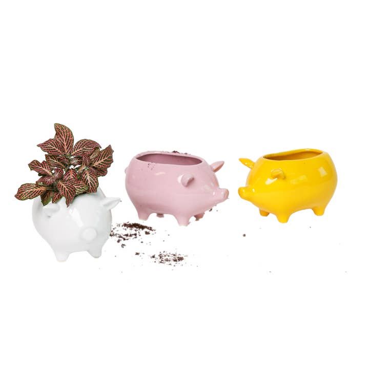 Animal Planter For Succulents Unique Plant Accessories and other Purchase Wholesale ceramic face planter. Free Returns & Net 60 Terms on Faire trending on Faire.