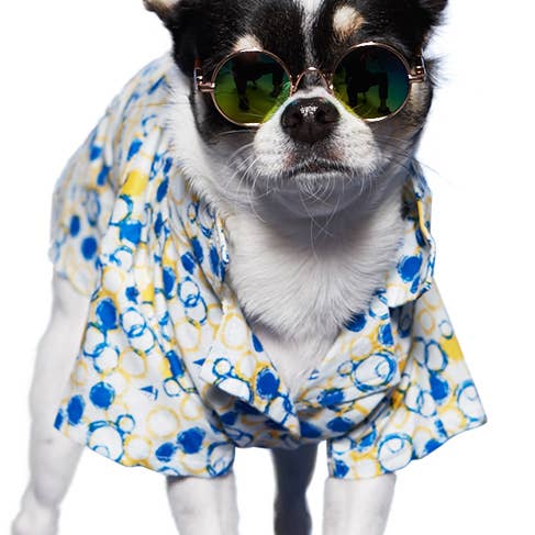 Bubble Shirt for wholesale by Dogo Pet