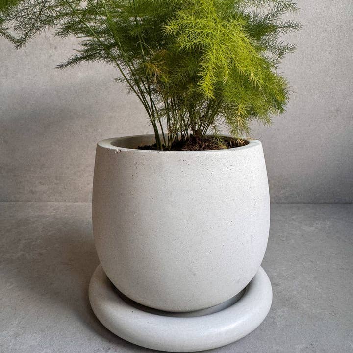 Minimal Loot Design – wholesale Kruka – Betongkruka med dränering, söt växtkruka, bubbelplanterare, dekorativ cementkruka, minimalistisk kruka med fat, nordisk, tjock kruka