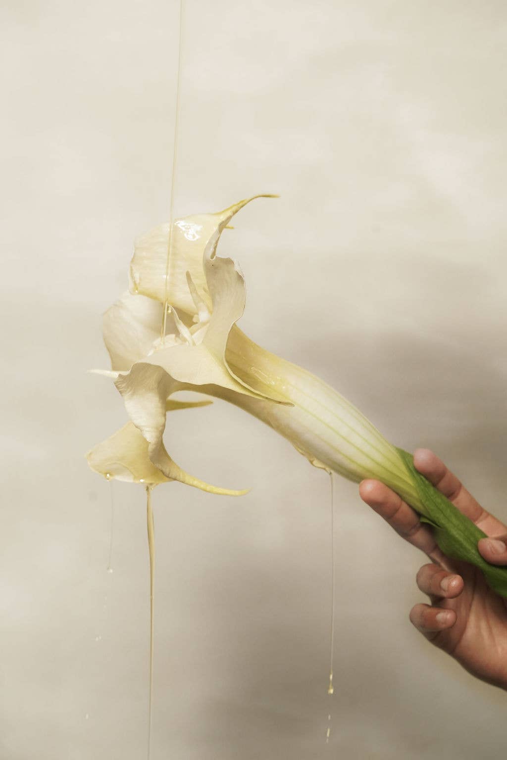 Circular Living - Wholesale Bath/Body Oil - Sunset Body Oil, Clary Sage & Vetiver7