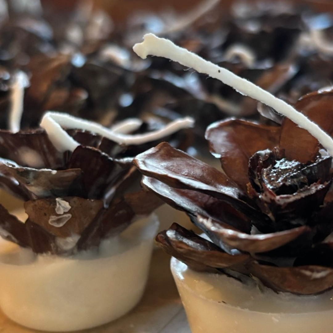 Mana Market Co. - Vente Cadeaux pour invités - Pommes de pin allume-feu ~ Le cadeau rustique parfait pour une fête8